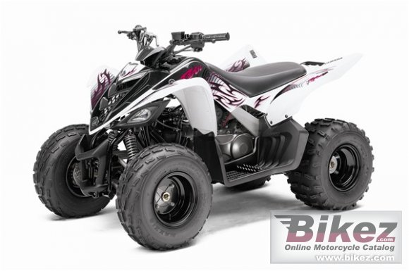 2010 Yamaha Raptor 90 photo